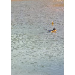 Dummy til vand 500 gr.